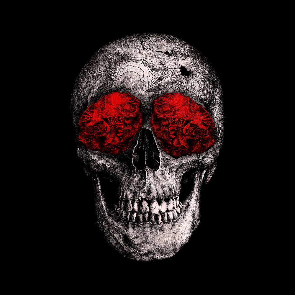 Live and Die Wine - Image 8