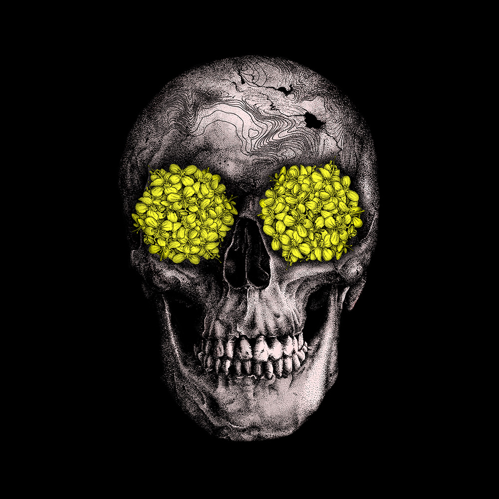 Live and Die Wine - Image 6